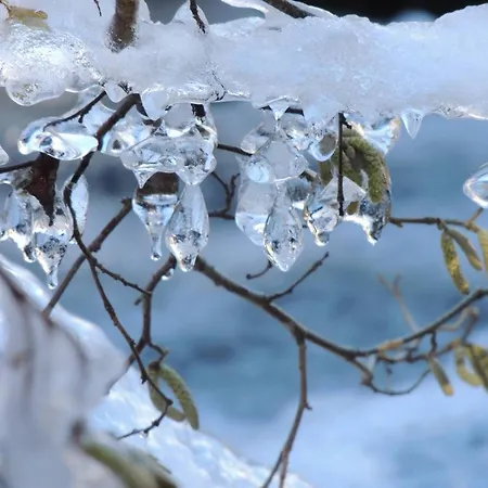 T3 Proche Telecabine A Pour 6 Pers - Fr-1-234-208 Cauterets