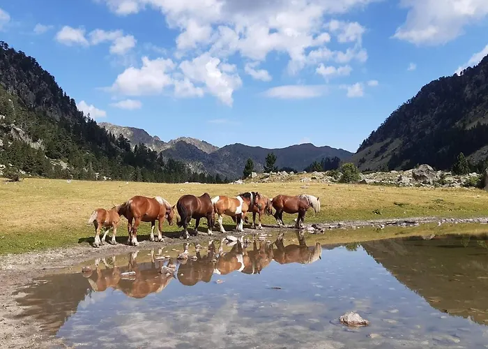 T3 Proche Telecabine A Pour 6 Pers - Fr-1-234-208 Апартаменты